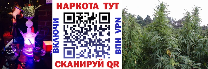 МЕТАДОН Новодвинск