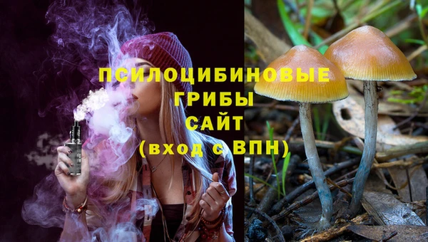 соль ск Тавда