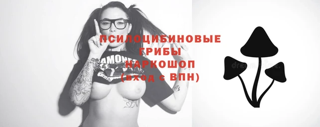 марки lsd Новодвинск