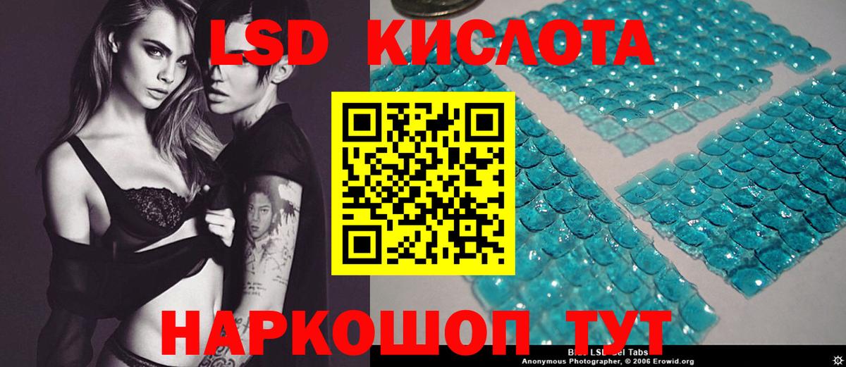 Новодвинск  Лсд 25 экстази кислота  Вход с VPN  LSD-25 экстази кислота 
