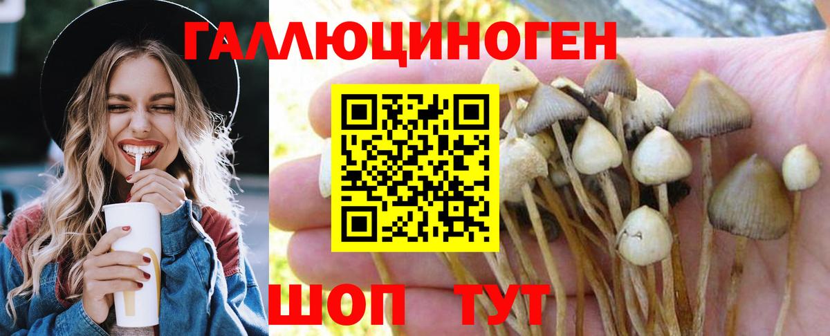 Псилоцибиновые грибы MAGIC MUSHROOMS Новодвинск