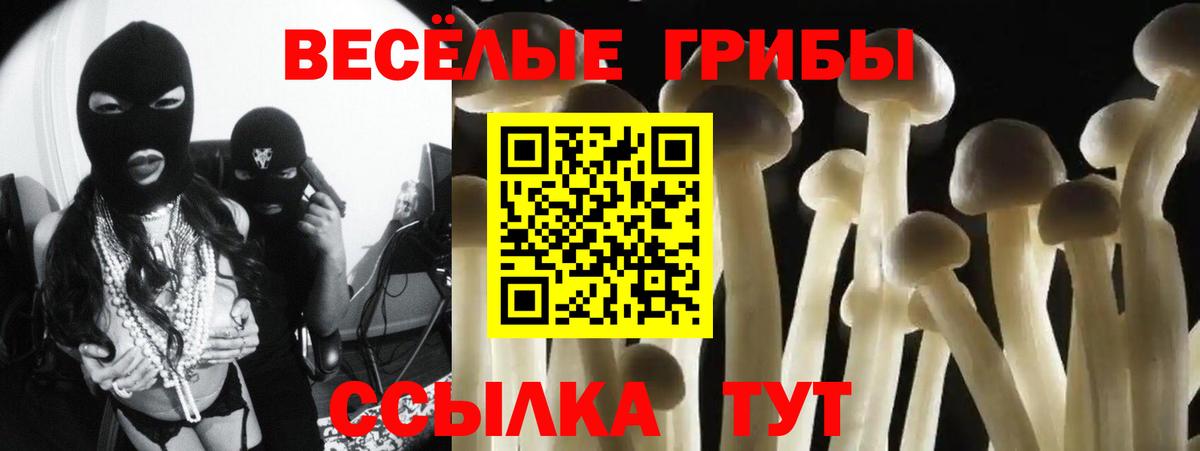 Псилоцибиновые грибы GOLDEN TEACHER  Вход с VPN  Новодвинск  Галлюциногенные грибы GOLDEN TEACHER 