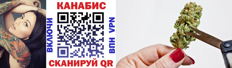 Марихуана планчик  KRAKEN как войти  Новодвинск  как найти  